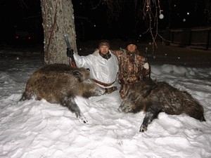 Особливості та види полювання на кабана взимку