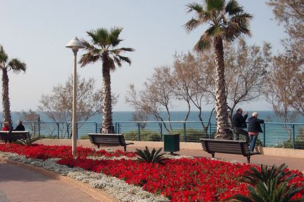 Особливості відпочинку в Нетанії пляжі, готелі, дозвілля, пам'ятки