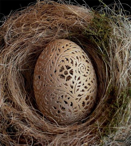 Caracteristicile firului de coajă de ou