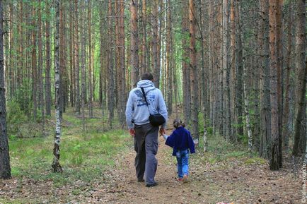 Звіт про поїздку в Карелію