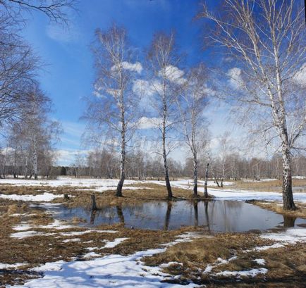 Листівка до 8 березня своїми руками