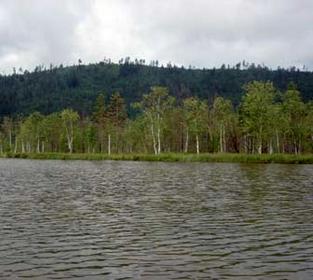 Lacul Plakino (Borovoye)