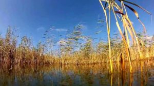 Uzunkul Lake - tavak Cseljabinszk régióban