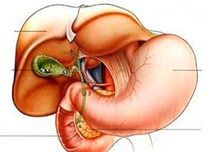Папілома в жовчному міхурі причини і лікування