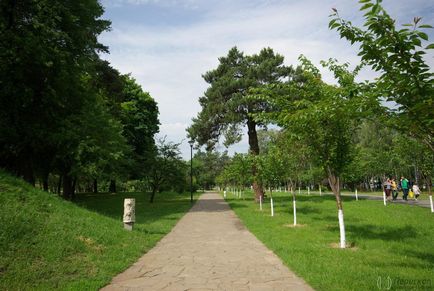 Park Kyoto