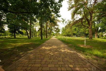 Park Kyoto