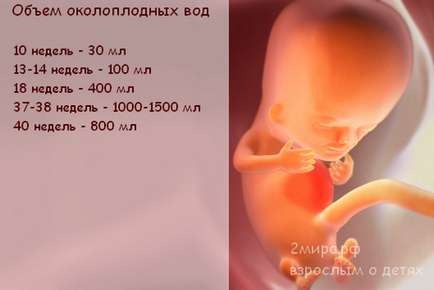 Primele luni de sarcină cresc abdomenul, abdomenul în timpul sarcinii