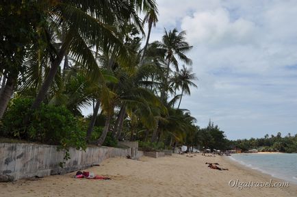 Пляж бопут (bophut beach samui)