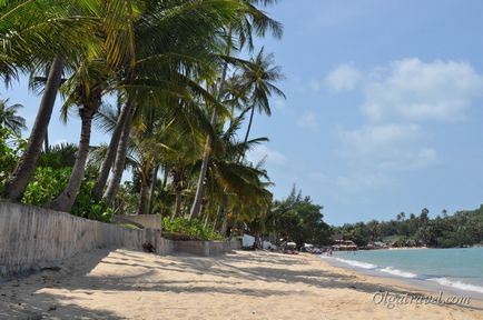 Пляж бопут (bophut beach samui)