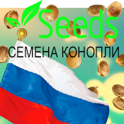 Чи підійдуть методи supercropping і scrog для автоцветов