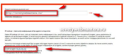 Căutați pe site-ul de la Yandex, sfatul webmasterului, blogul eugenului lui Vergus