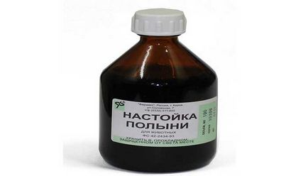 Полин від бліх в квартирі та будинку масло, настоянки та їх застосування