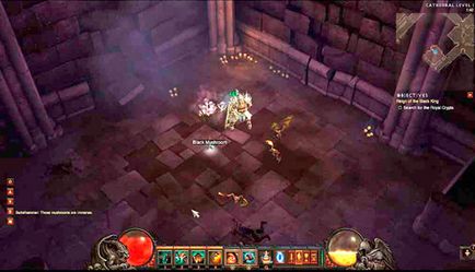 Avem acces la nivelul secret al Diablo 3