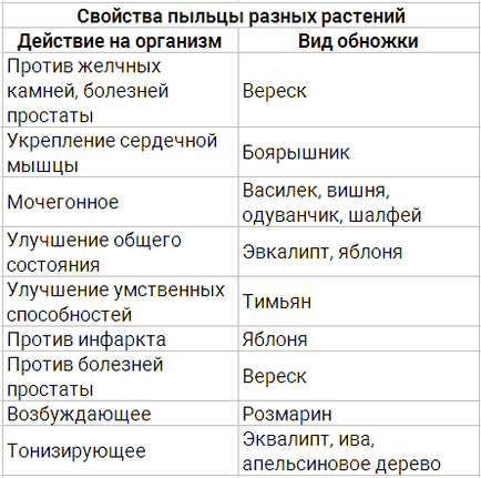 Virágpor előnyök férfiak - hogyan használja a betegségek