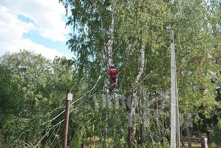 Порубкових квиток - навіщо і коли він потрібен