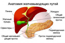 După îndepărtarea vezicii biliare, o dietă pe toată durata vieții este o frumusețe pentru spirit