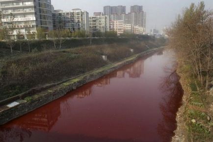 Передвістя апокаліпсису! Про це мало хто знає досі «вода почервоніла, як кров» у багатьох