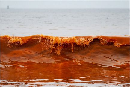 Передвістя апокаліпсису! Про це мало хто знає досі «вода почервоніла, як кров» у багатьох