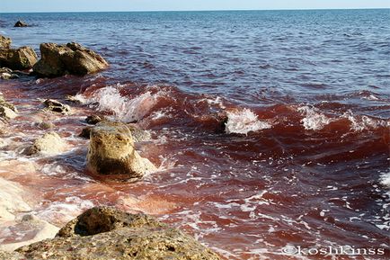 Передвістя апокаліпсису! Про це мало хто знає досі «вода почервоніла, як кров» у багатьох