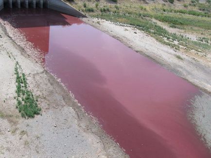 Передвістя апокаліпсису! Про це мало хто знає досі «вода почервоніла, як кров» у багатьох