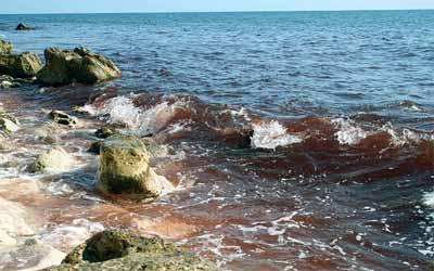 Передвістя апокаліпсису! Про це мало хто знає досі «вода почервоніла, як кров» у багатьох