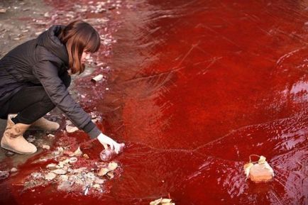 Передвістя апокаліпсису! Про це мало хто знає досі «вода почервоніла, як кров» у багатьох