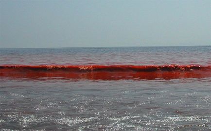 Передвістя апокаліпсису! Про це мало хто знає досі «вода почервоніла, як кров» у багатьох