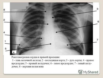 Prezentare pe tema Departamentului de Medicină al Universității de Stat din Karaganda