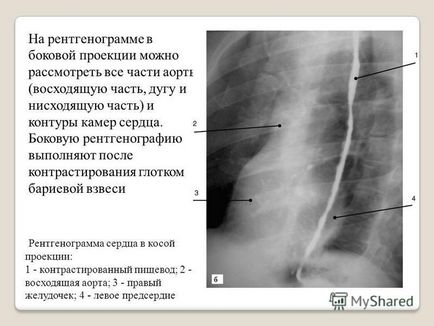 Презентація на тему Карагандинський державний медичний університет кафедра візуальної