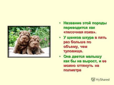 Презентація на тему собака всмятку урок трудового навчання розробка уроку татьяна Проснякова,