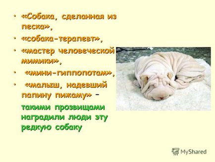 Презентація на тему собака всмятку урок трудового навчання розробка уроку татьяна Проснякова,