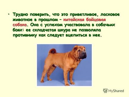 Презентація на тему собака всмятку урок трудового навчання розробка уроку татьяна Проснякова,