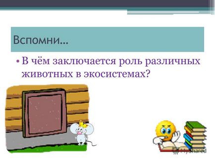 Презентація на тему тварини маленькі і великі тема 20