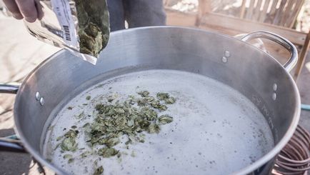 malátából készült sör és komló az otthoni receptek, hogyan kell főzni a maláta a sör