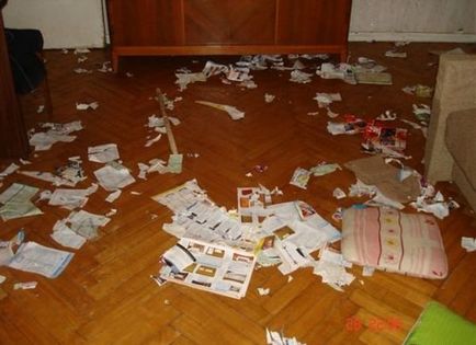 Probleme cu Husky, mai proaspete - cel mai bun Runet pentru zi!