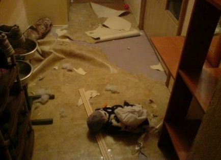 Probleme cu Husky, mai proaspete - cel mai bun Runet pentru zi!