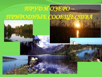 Lacul și lacul - comunități naturale - prezentare 14470-10