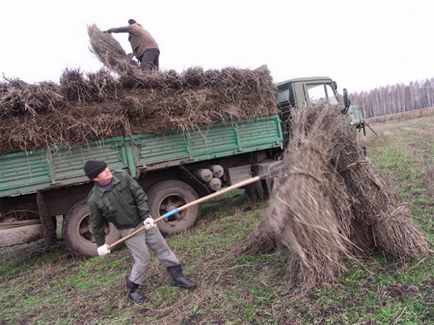 Нехай розквітає коноплі! (Фоторепортаж), технічні коноплі в Україні та інших країнах