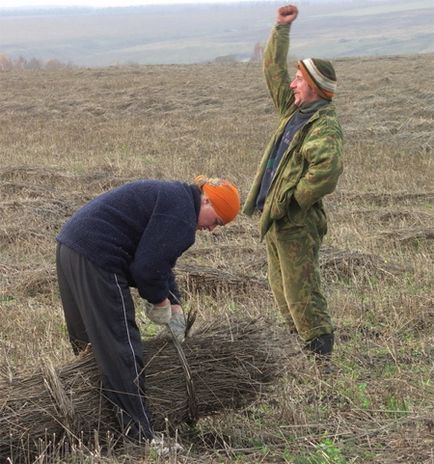 Нехай розквітає коноплі! (Фоторепортаж), технічні коноплі в Україні та інших країнах