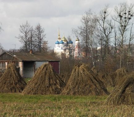 Нехай розквітає коноплі! (Фоторепортаж), технічні коноплі в Україні та інших країнах