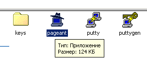 Робота putty з ssh