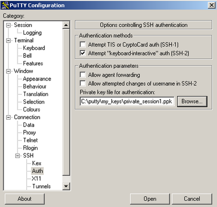 Putty cu ssh