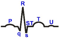 Segmentul de decodare eq st - corespunde perioadei ciclului cardiac, când ambele ventricule sunt acoperite