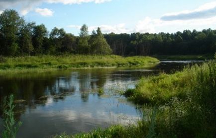 Pescuit în Golful Finlandez - loc de pescuit - momeală - totul despre pescuit