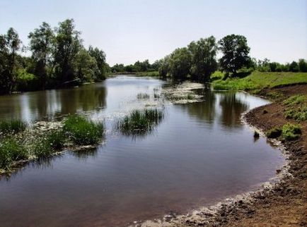 Pescuit în Golful Finlandez - loc de pescuit - momeală - totul despre pescuit