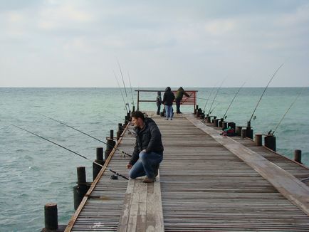 Риболовля з берега на чорному морі снасті, відео, рибалка спінінгом, приманки