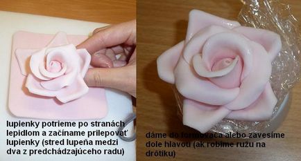 Rose de la masticul de zahăr