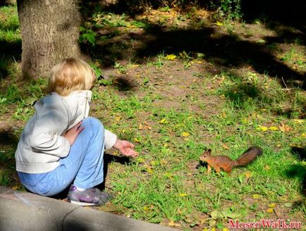 Rozariul în falconerii - plimbări la Moscova, parcuri