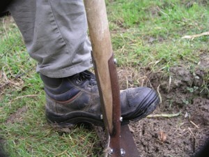 Un teren de gradina intr-o zona deschisa plat, planteaza o gradina