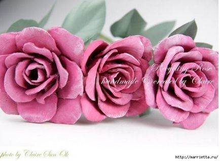 Найкрасивіші троянди з лотків